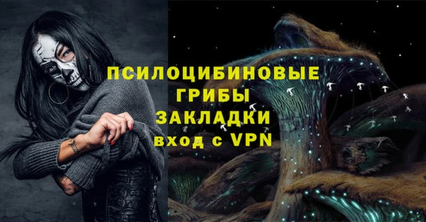 бошки Каменногорск