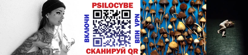Галлюциногенные грибы Cubensis  купить   Катайск 
