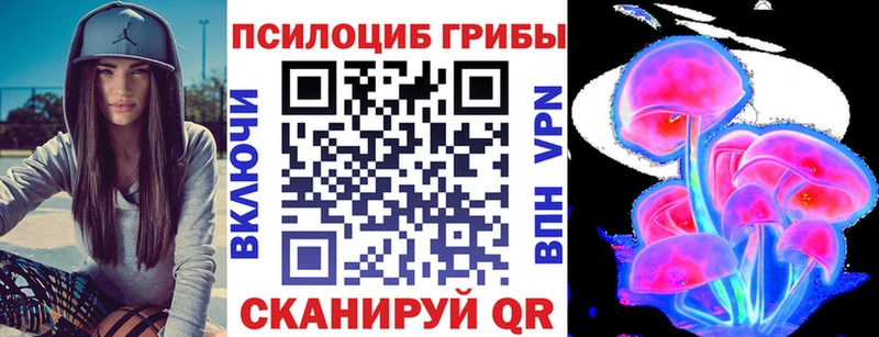 Псилоцибиновые грибы Psilocybe Катайск
